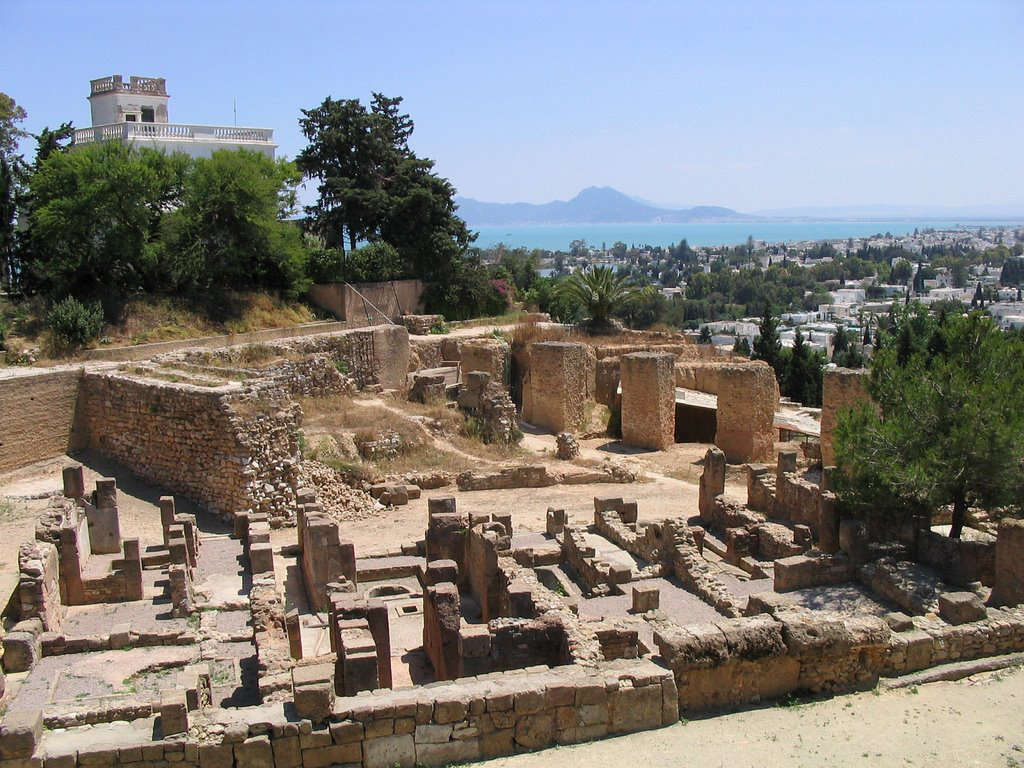 cartridge Branch Dozens Famila Bârsan — Fortăreața legendarului oraș fenician Cartagina,...