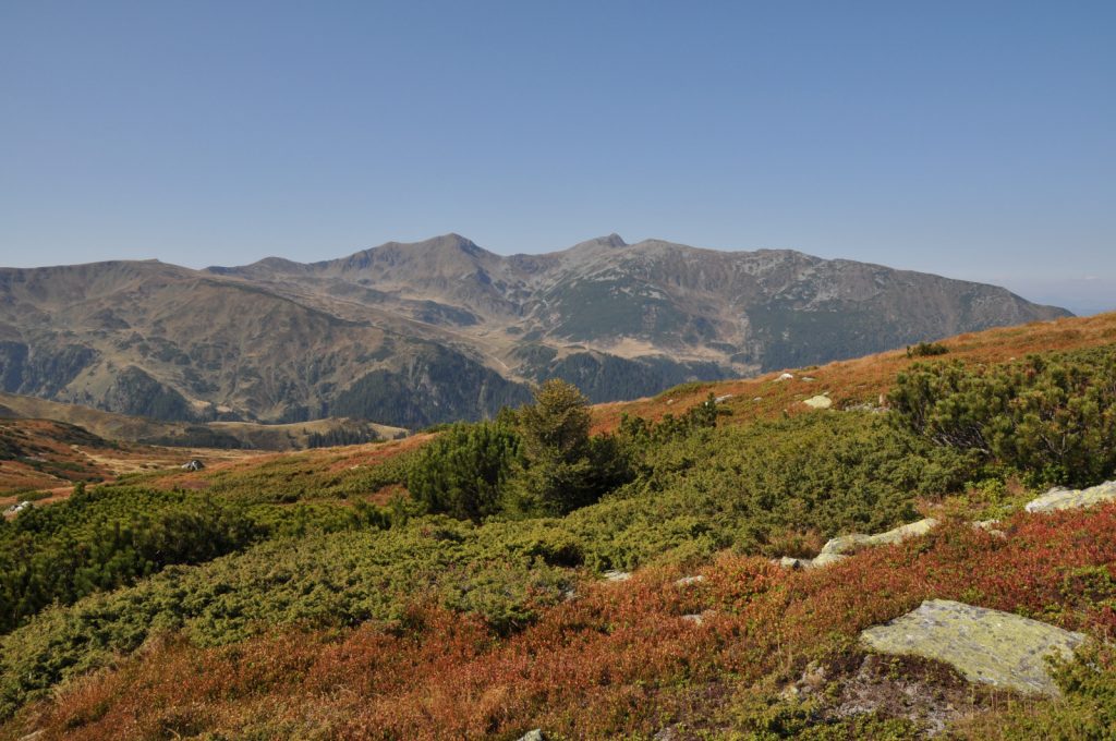 Vedere din Tarnița Bârsanului Traseul de Creasta intre Saua Gargalau 1907m si Tarnita La Cruce 1985m Muntii Rodnei